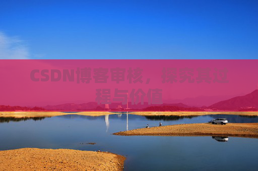 CSDN博客审核,探究其过程与价值